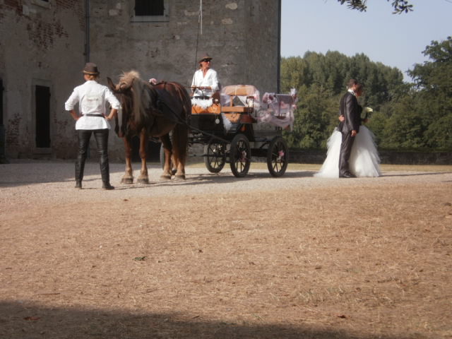 Calèche à louer pour un moment unique